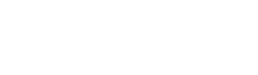logo light